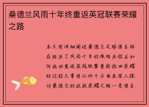 桑德兰风雨十年终重返英冠联赛荣耀之路
