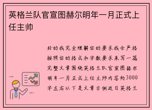 英格兰队官宣图赫尔明年一月正式上任主帅